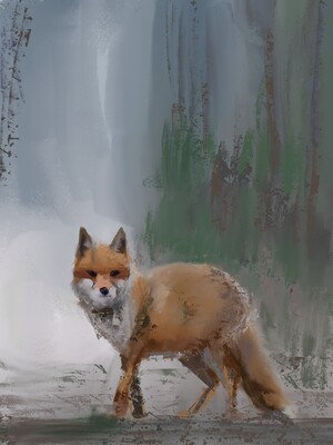 Fox (digital in Infinite Painter)